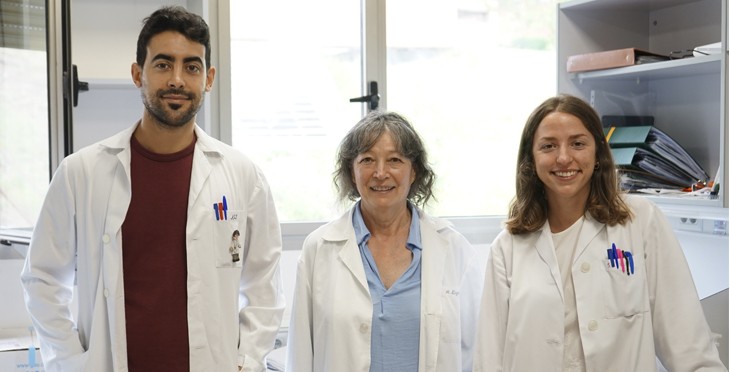 autores tratamiento adenocarcinoma pulmón