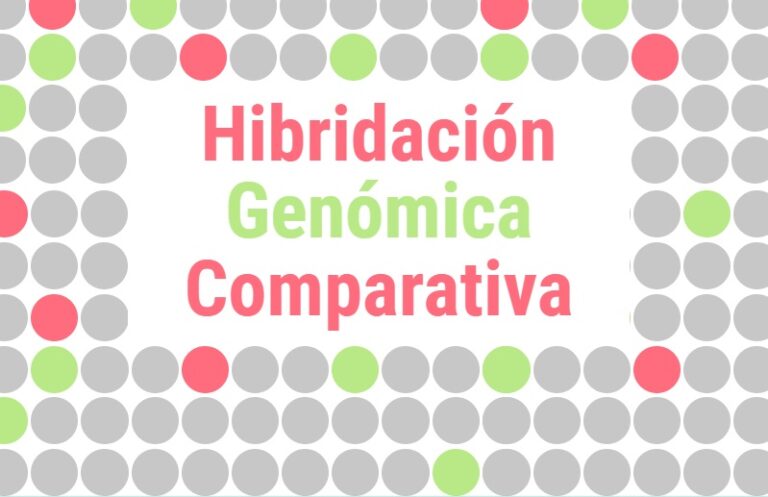 hibridaci-n-gen-mica-gomparativa-qu-es-y-para-qu-sirve-genotipia