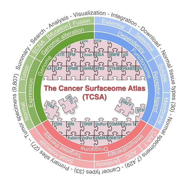 Un Atlas De Las Proteínas De Superficie Del Cáncer