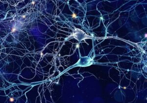 cambio genetico humanos neuronas