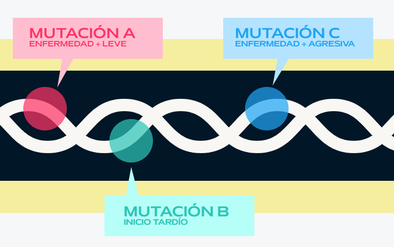 En algunas enfermedades genéticas la presencia de una u otra mutación como responsable de la enfermedad puede significar una evolución más rápida o lenta.