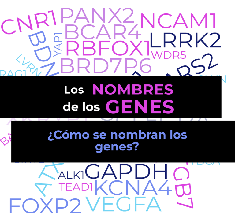 Los Nombres De Los Genes - Genotipia