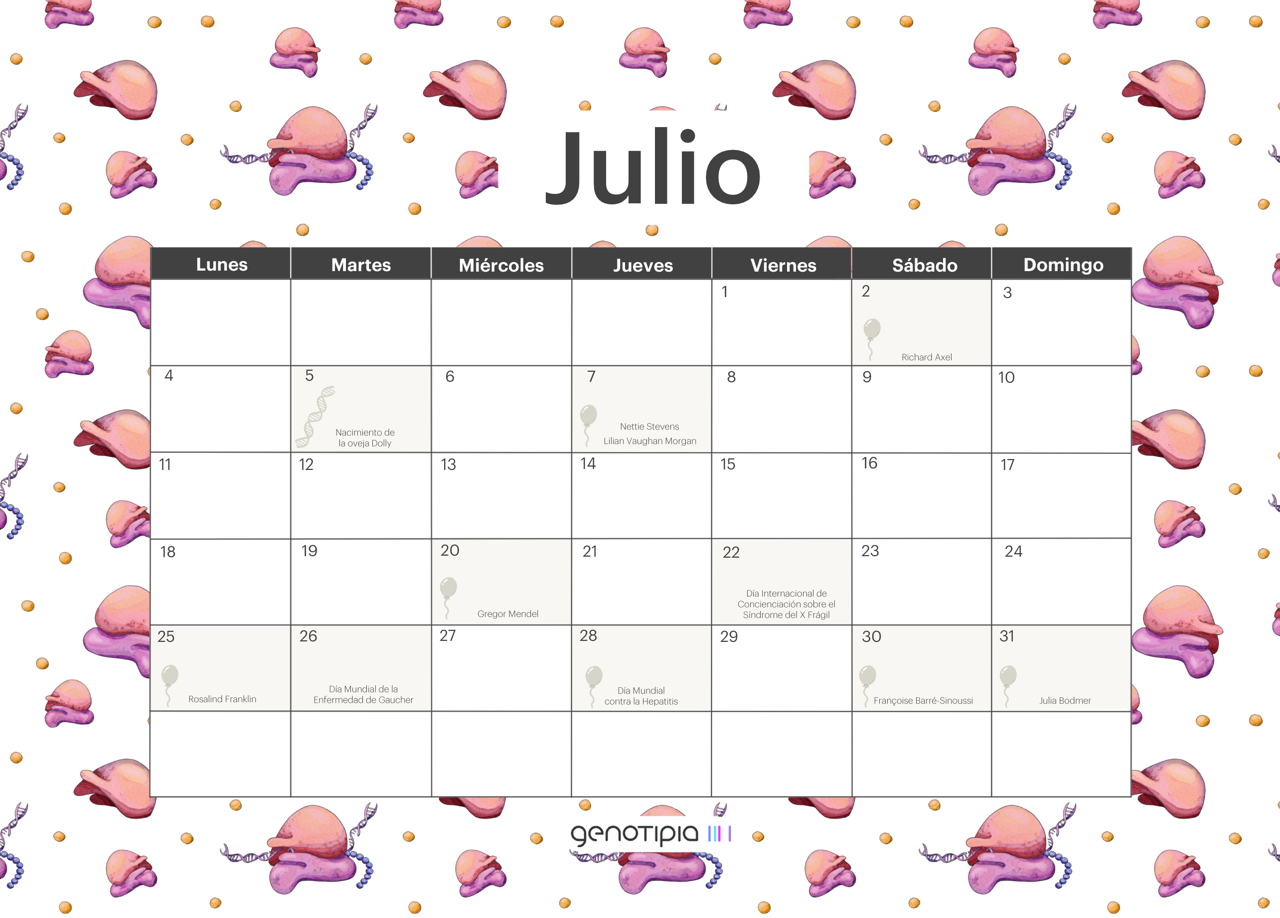Mes De Julio Calendario Calendario genético: julio 2022 - Genotipia