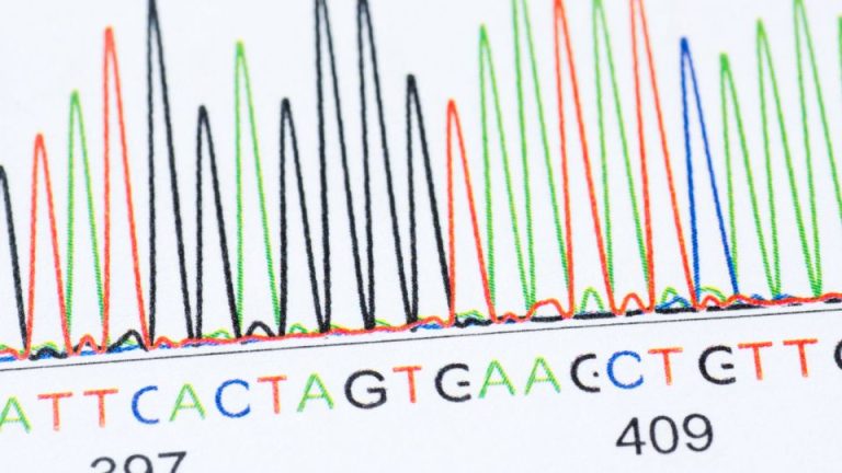 esultados de la secuenciación por Sanger de un fragmento de ADN