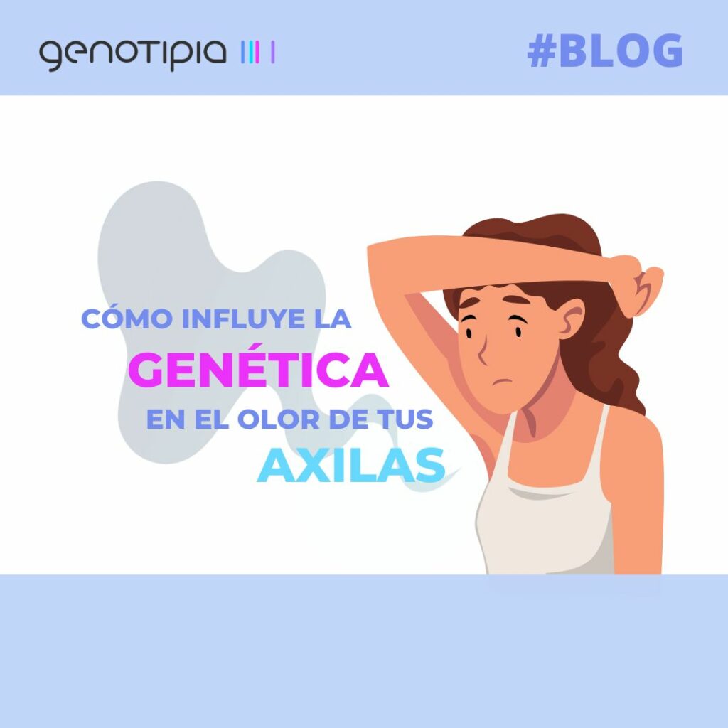 blog genética olor axilas abcc11
