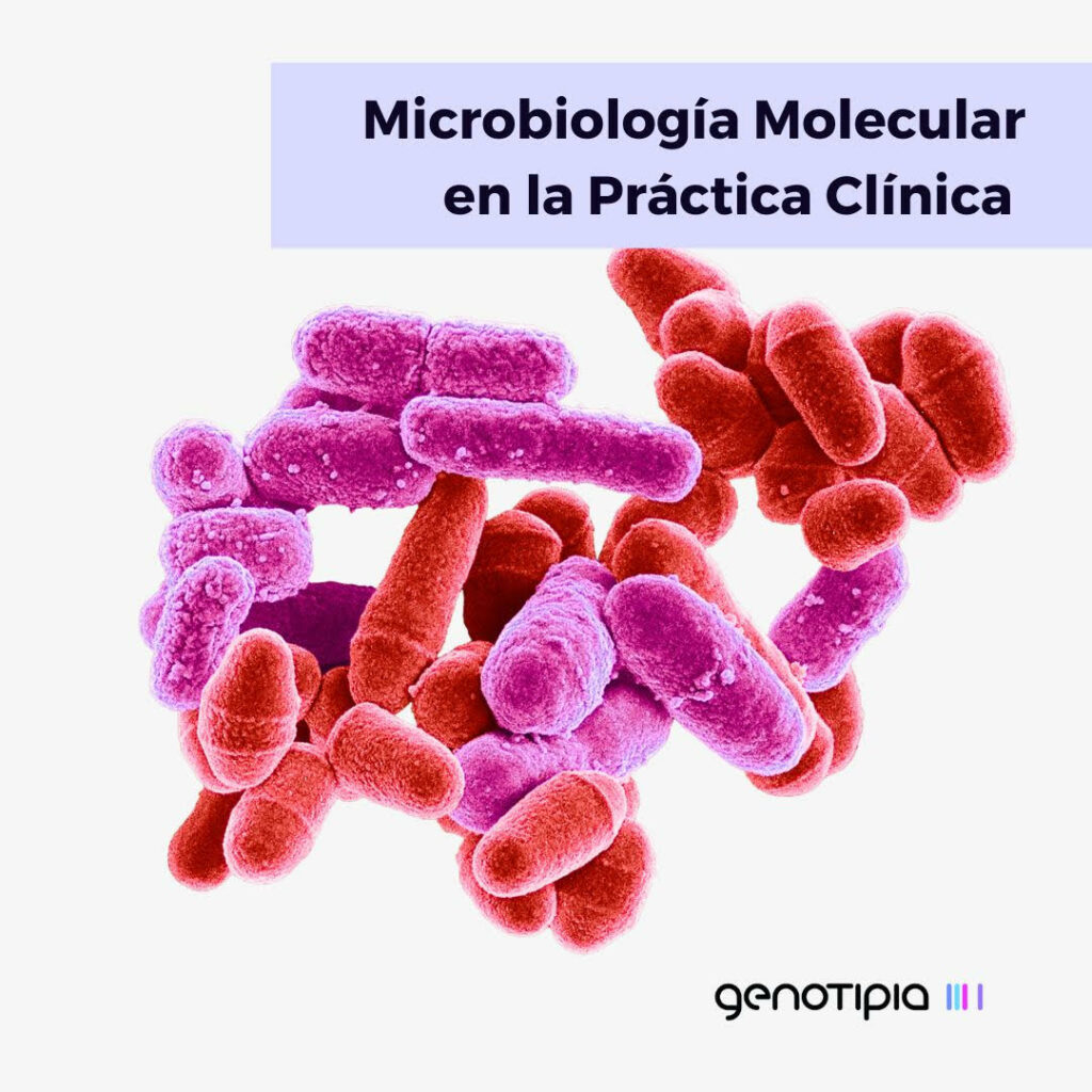 Microbiología molecular en la práctica clínica