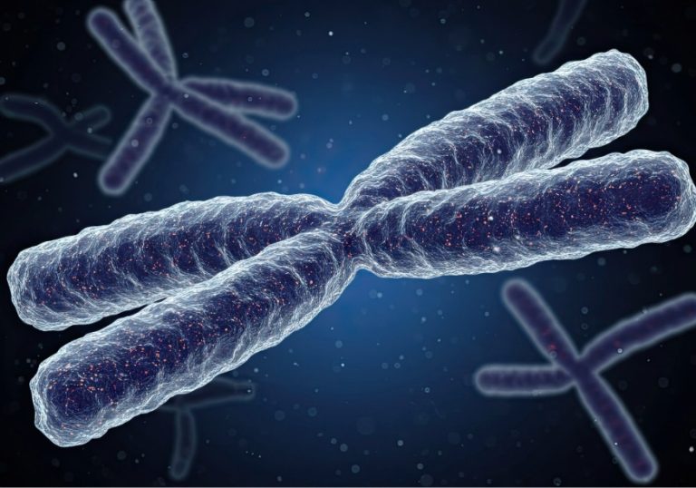 El síndrome de DiGeorge esta causado por una alteracion en el cromosoma 22