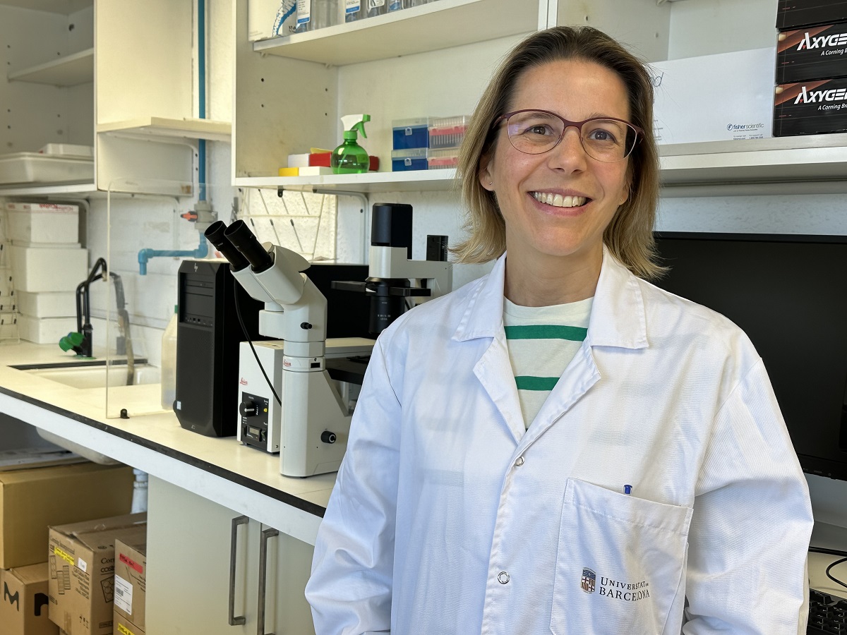 Desarrollan, en ratones, una terapia génica para la obesidad