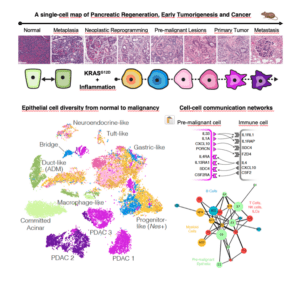 mapa epigenético cáncer de páncreas