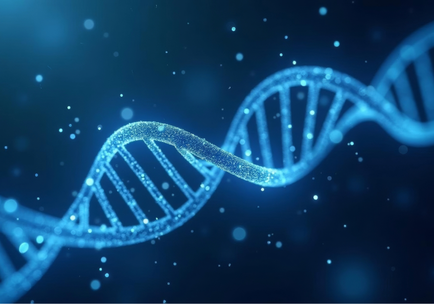 El síndrome de Sotos se debe a alteraciones en el gen NSD1, aunque pueden haber otros genes relacionados. Imagen: Adobe Express.