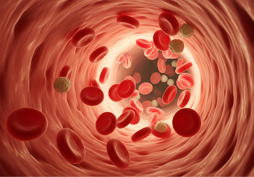 Uno de los síntomas del Síndrome de Williams son las alteraciones cardiovaculares.