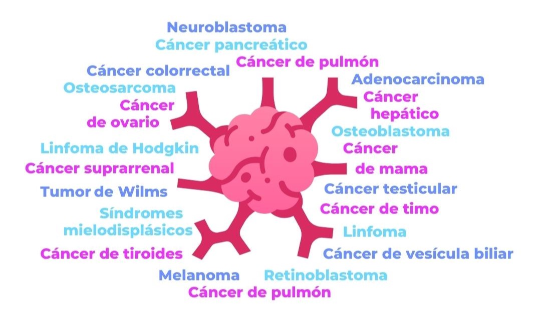 enfermedades oncológicas, cáncer, oncología