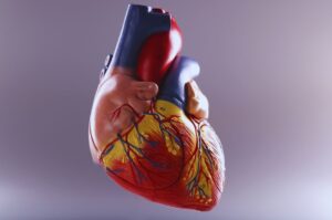 calcificación de las arterias coronarias