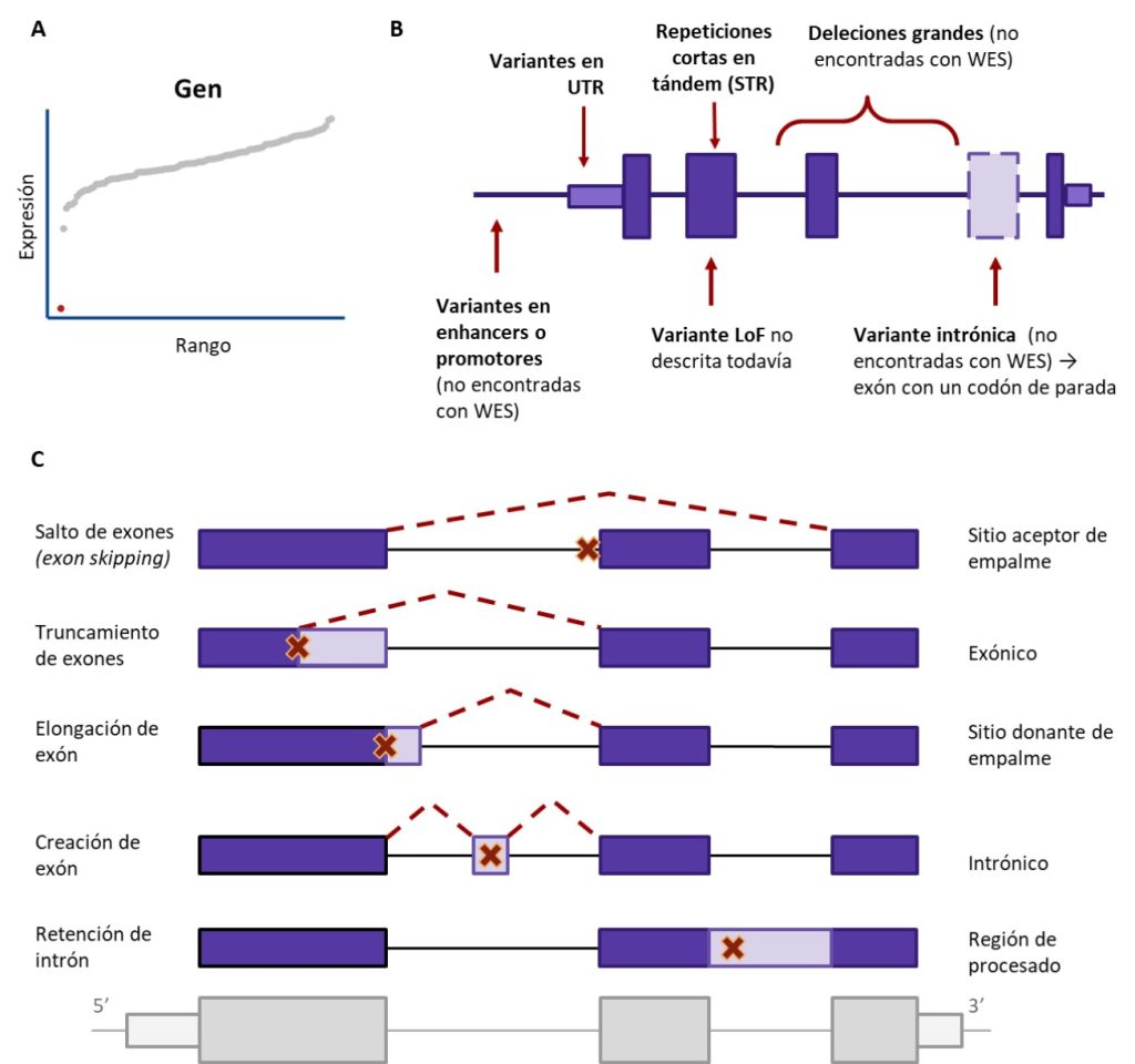 RNA-seq