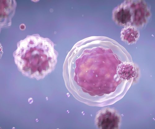 Mutaciones Y Alteraci n En N mero De Copias De Genes En C ncer mutaciones-y-alteraci-n-en-n-mero-de-copias-de-genes-en-c-ncer