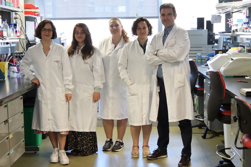 Investigadores que han participado en uno de los estudios que analizanel papel de la hematopoyesis clonal en aterosclerosis e identifican un tratamiento de precisión para algunos pacientes