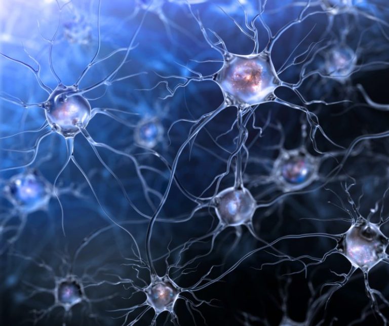 un nuevo análisis de sangre para ELA está basado en microARNs de vesículas de origen neuronal