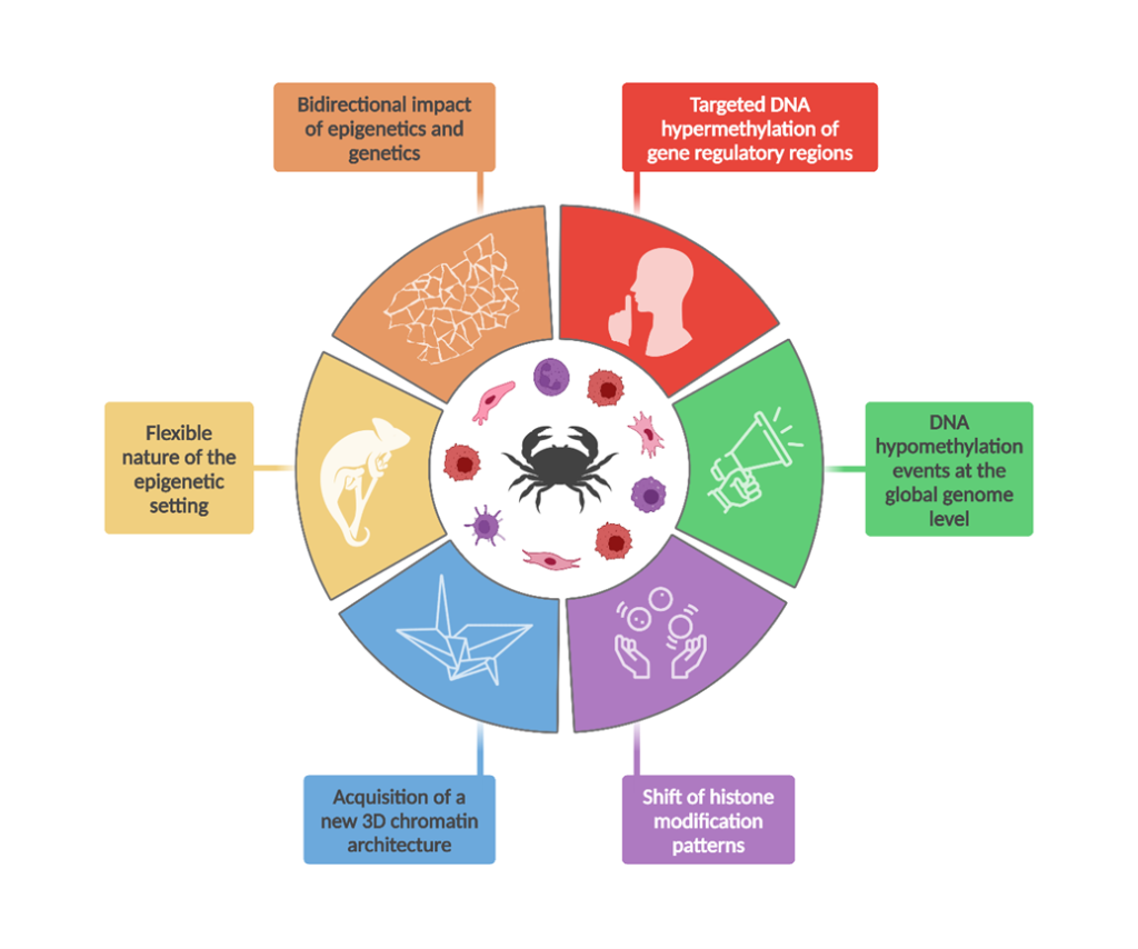 Características epigenéticas del cáncer.