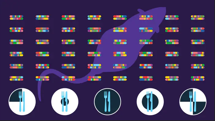 Imagen representativa del estudio de la restricción calórica y sus efectos sobre salud y longevidad en ratones con diferente composición genética