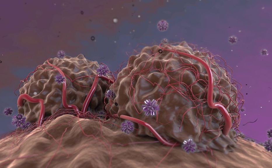 Mapas tridimensionales del cáncer ofrecen nuevas claves sobre cómo se comportan y evolucionan las diferentes células que componen los tumores