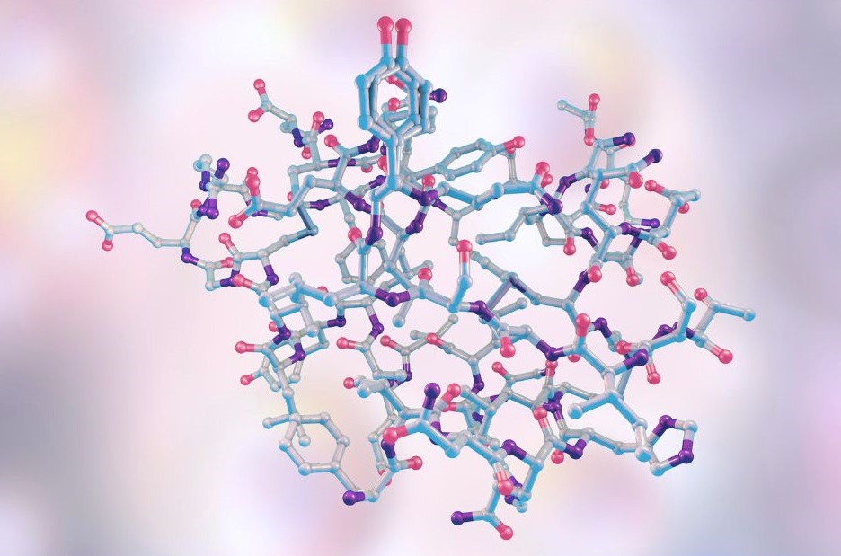 estructura molecular de la insulina Un reciente estudio ha identificado una proteína implicada en la sensibilidad a la insulina