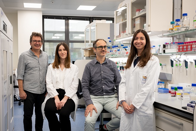 El equipo que ha liderado el trabajo. De izquierda a derecha: Dr. Raúl Méndez, Dra. Anna Bartomeu, Dr. Xavier Salvatella y Dra. Carla Garcia-Cabau (IRB Barcelona)