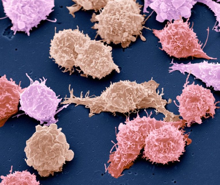 La Genética Médica en 2024