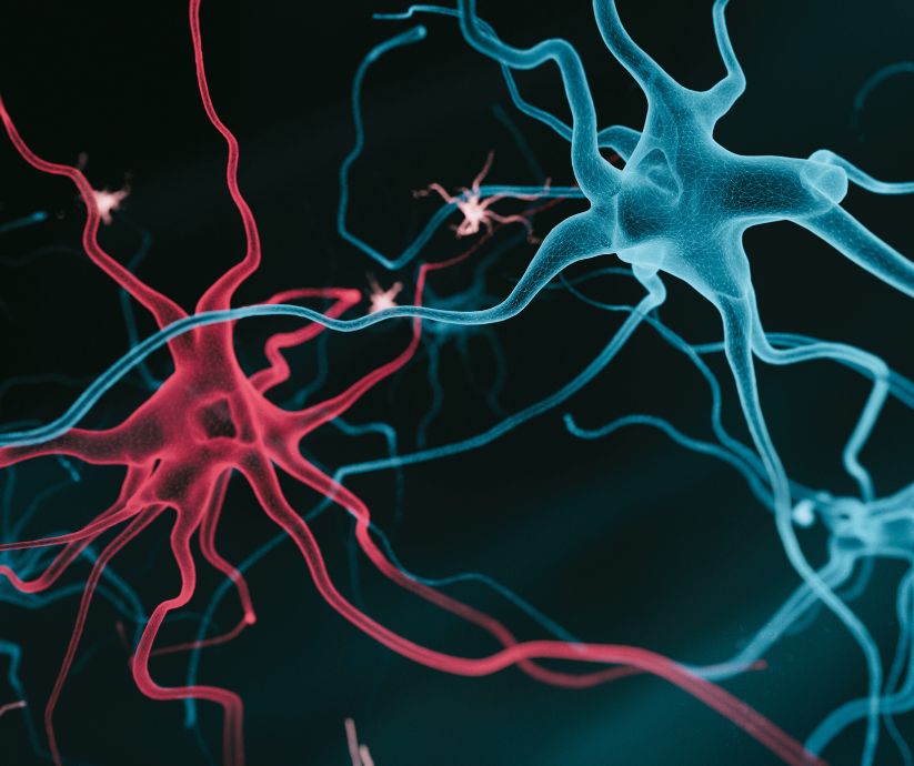 La microglía engloba las células inmunitarias del sistema nervioso central. 