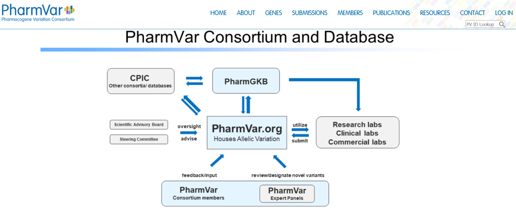 PharmVar interacciona con otras bases de datos de farmacogenética y farmacogenómica.