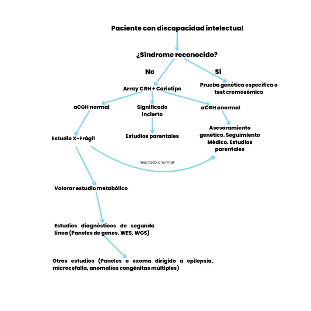 protocolo diagnostico déficit intelectual