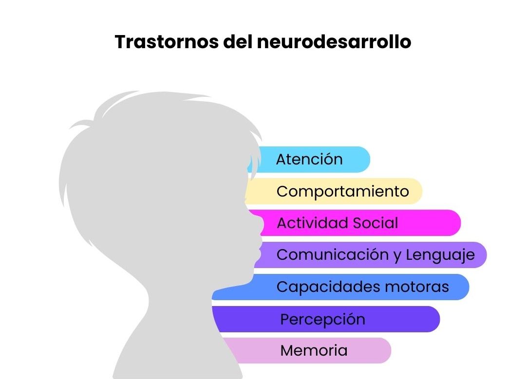 áreas afectadas trastornos neurodesarrollo