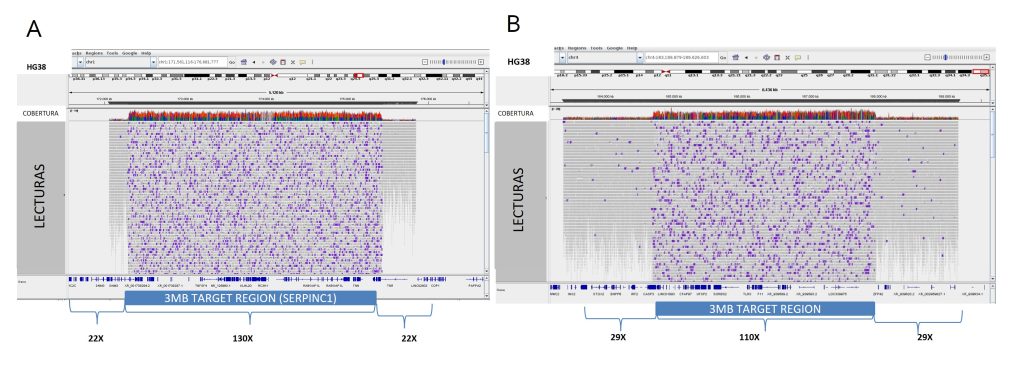 Figura 6: Representación de los alineamientos obtenidos en dos muestras secuenciadas por nanoporos mediante enriquecimiento in silico de 3 MB de interés. A) Enriquecimiento de 3Mb que incluye el gen F11 B) Enriquecimiento de 3Mb que incluye el gen SERPINC1.
