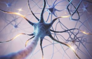 La genómica ha tenido un impacto importante en el diagnóstico de las ataxias hereditarias