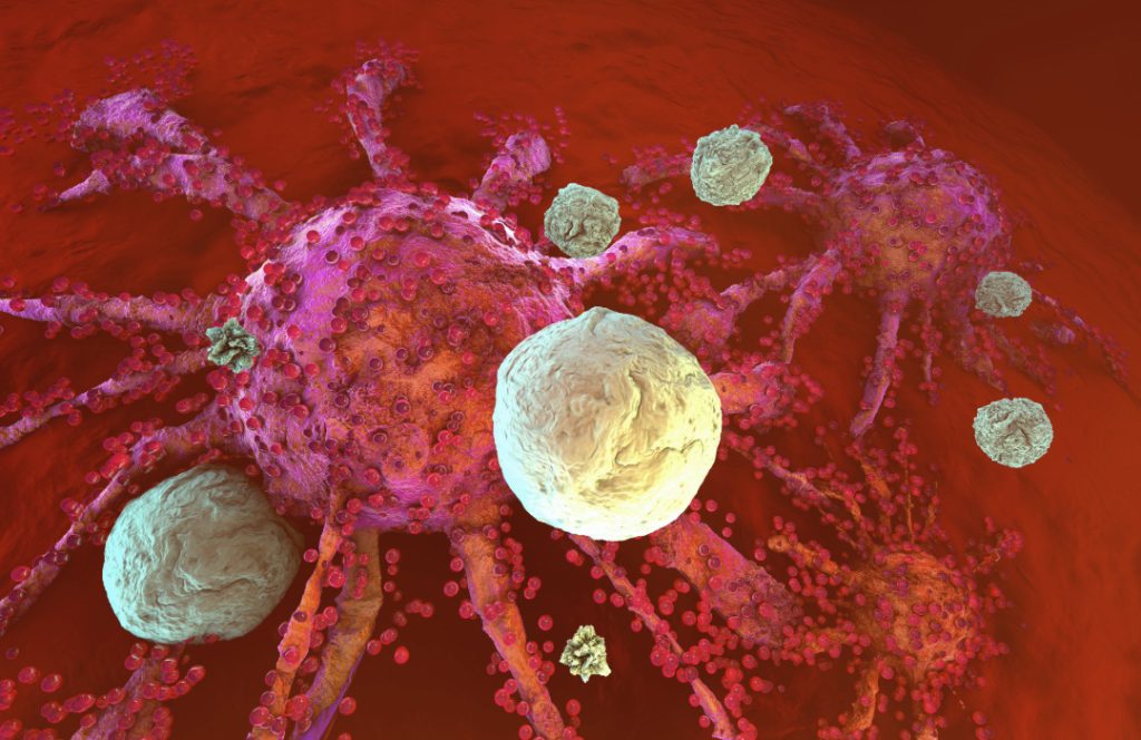 Un estudio ha identificado un interruptor molecular en macrófagos que podría ser una diana terapéutica contra el cáncer