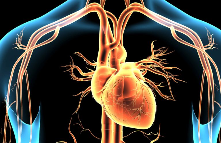Una terapia génica para una cardiopatía rara muestra resultados prometedores.