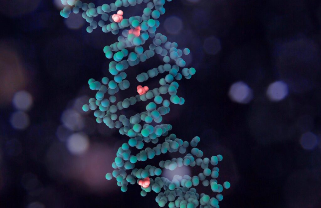 Cambios en la metilación del ADN derivan en una expresión diferencial de los genes según la placenta sea de un feto masculino o un feto femenino.