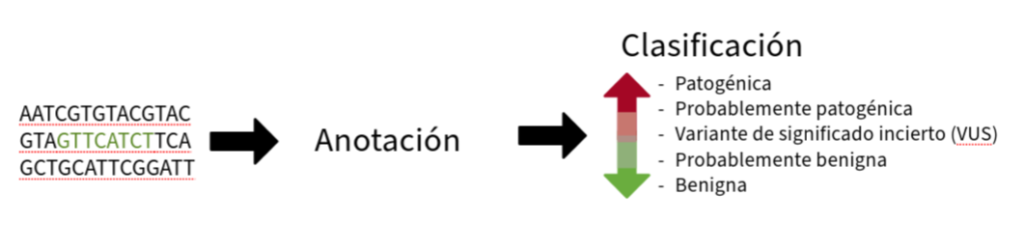 clasificación de variantes genéticas