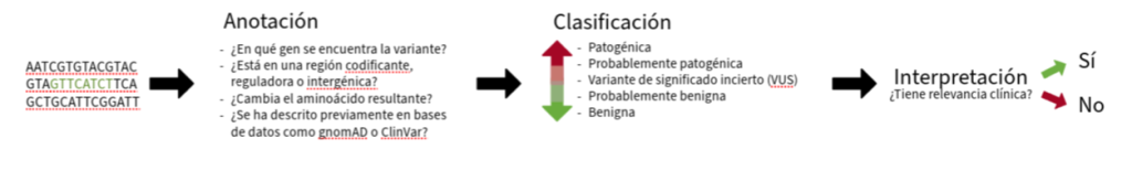 anotación, clasificación e interpretación de variantes genéticas