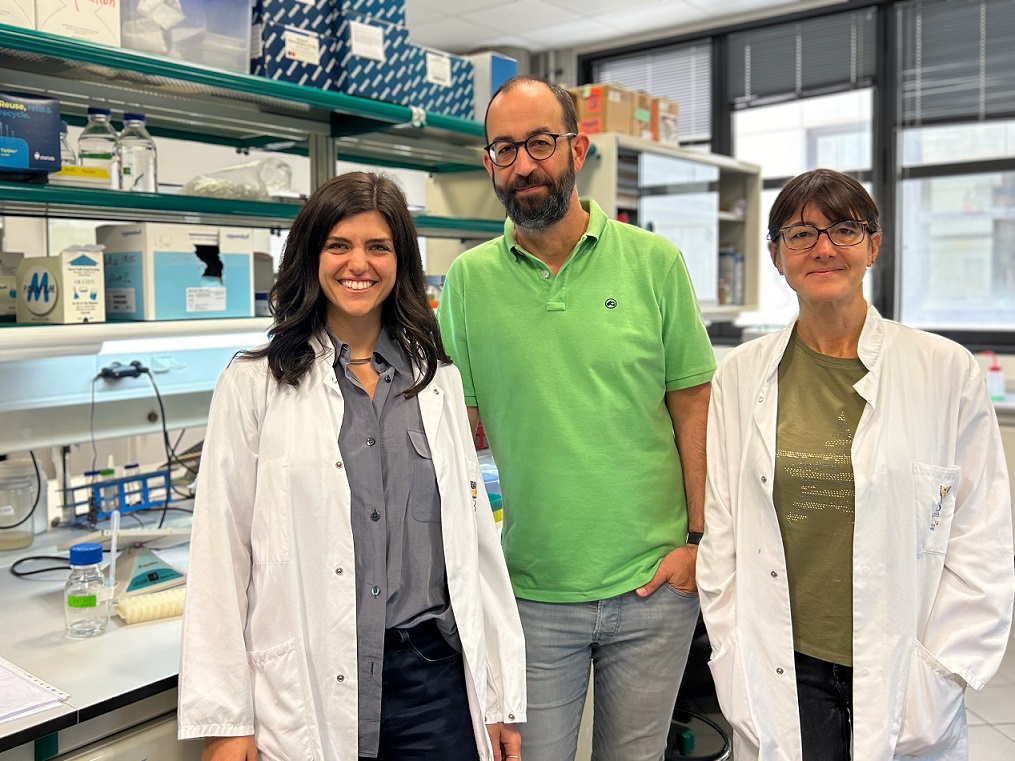 De izquierda a derecha la Dra. Elena Fusari, el Dr. Marco Milán y la Dra. Mariana Muzzopappa, investigadores del IRB que han desarrollado una herramienta para estudiar el efecto de aneuploidías en el desarrollo.