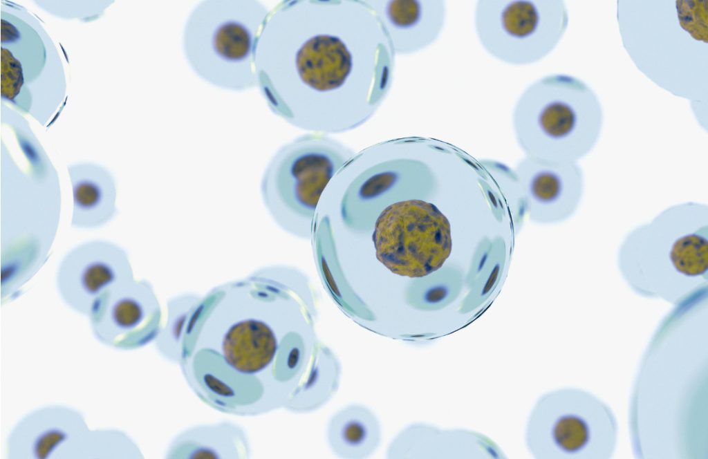Una nueva investigación revela una proteína reguladora que interviene en cáncer y envejecimiento. Imagen: Adobe Express.