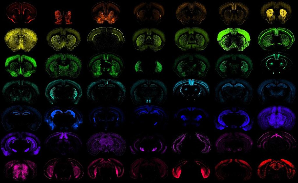 Los nuevos sistemas para introducir genes en las células favoreceran el desarrollo de terapias génicas