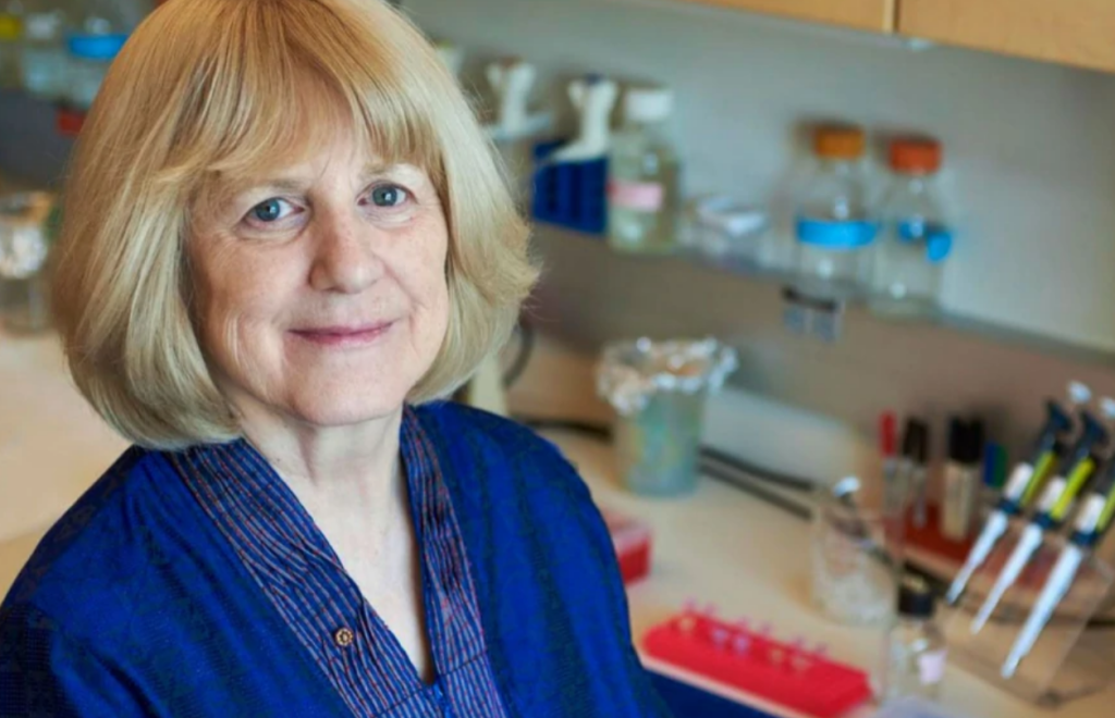 La genetista estadounidense Mary-Claire King ha sido galardonada con el Premio Princesa de Investigación Científica y Técnica por su contribución en diferentes avances en genética humana.