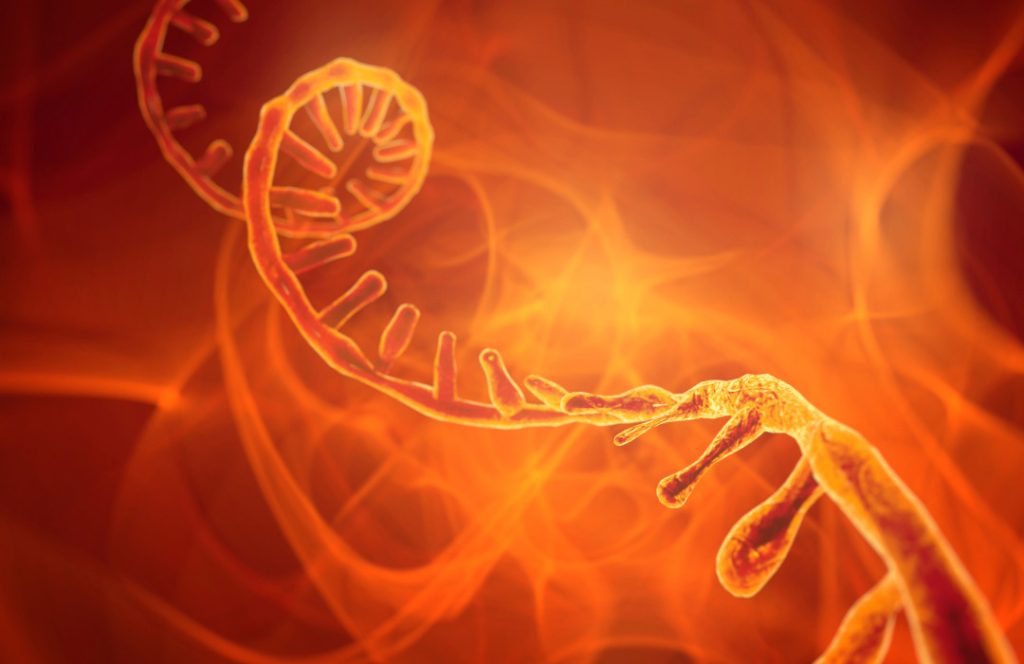 Una terapia experimental con oligonucleótidos antisentido ofrece resultados prometedores para una forma genética agresiva de esclerosis lateral amiotrófica