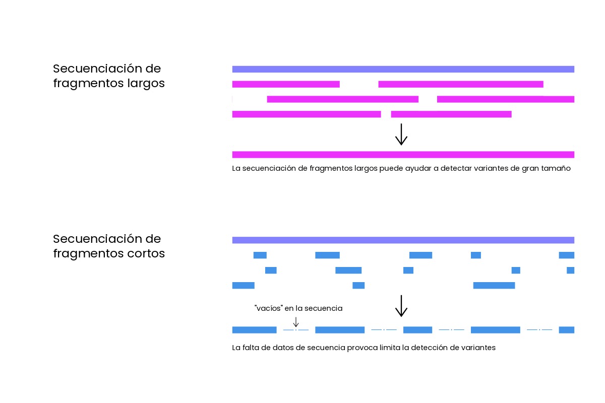 Secuenciación fragmentos largos vs cortos