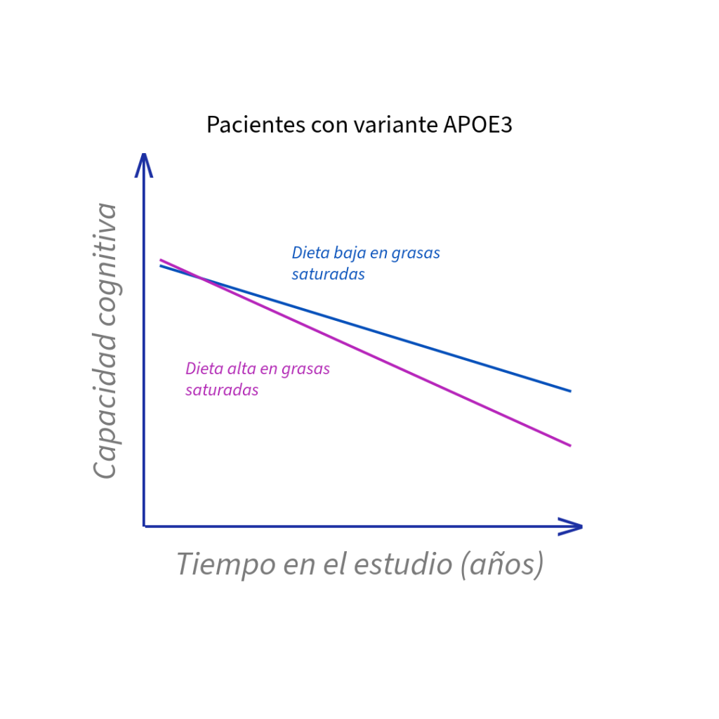 apoe4, consumo de grasas saturadas y cognición