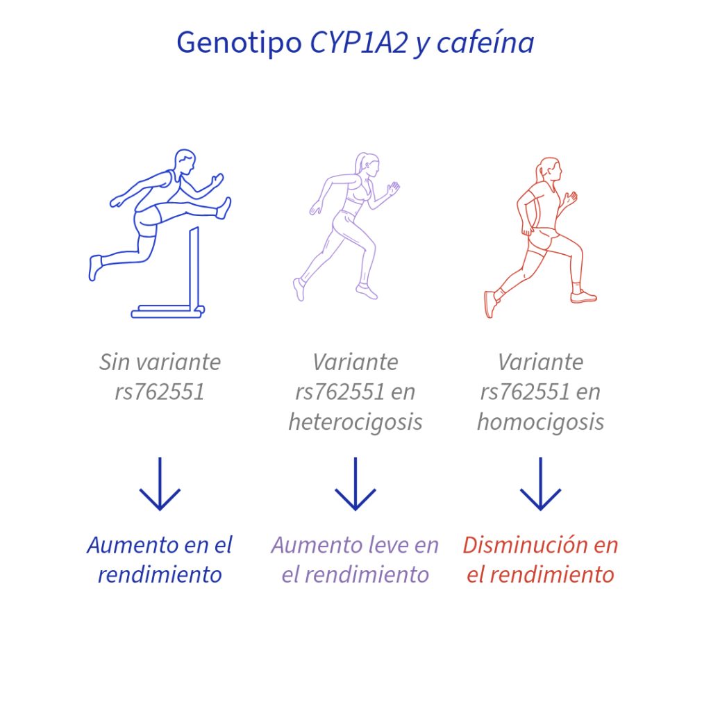 nutrición deportiva cafeína