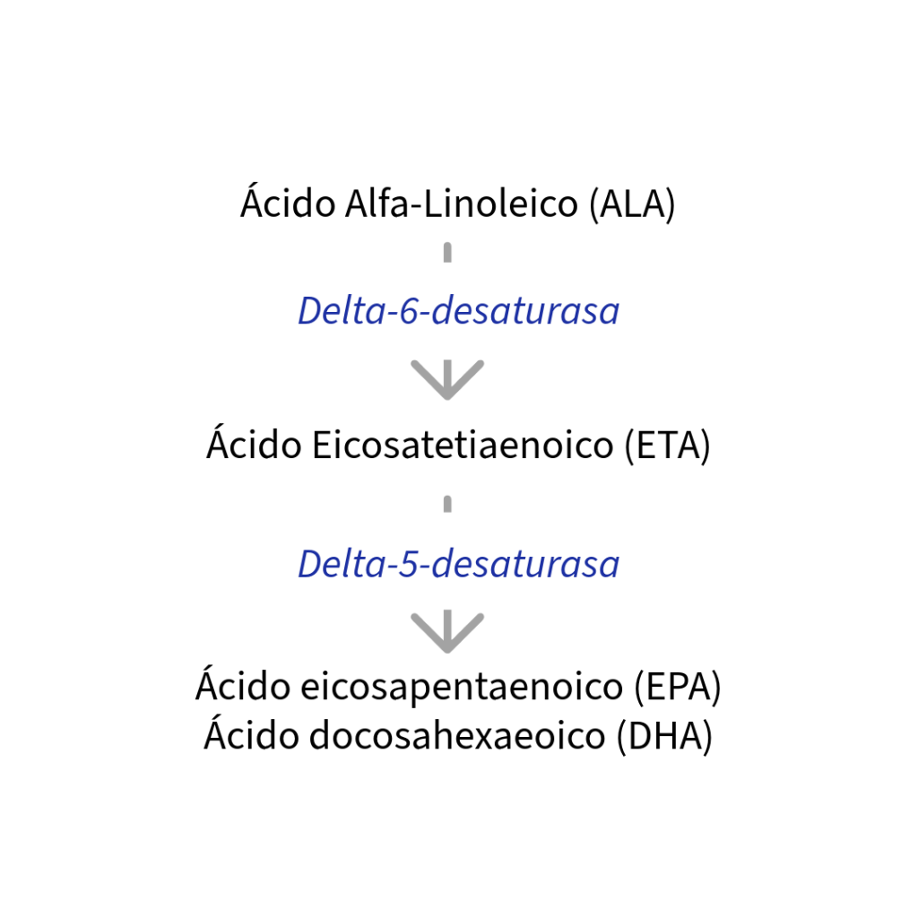 omega-3 metabolismo genética nutrición