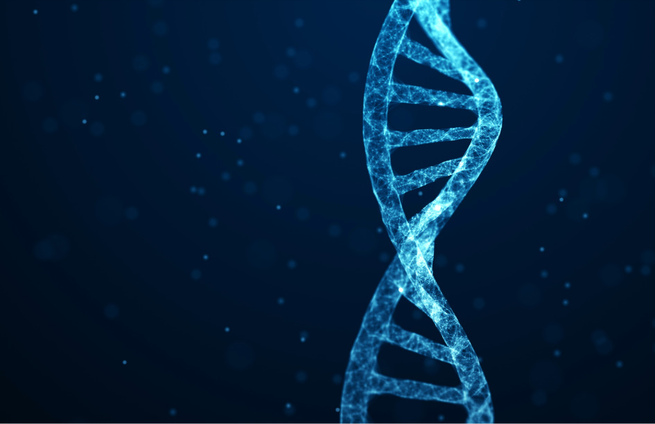 Genotipia y LongSeq impulsaran el conocimiento de secuenciacion por nanoporos. 