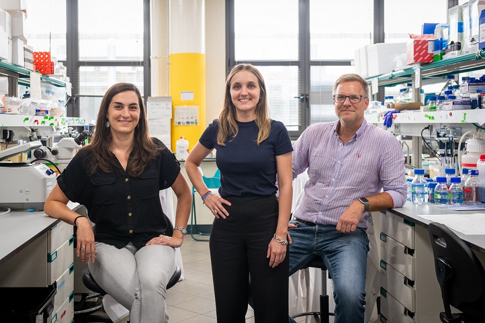 Investigadores que han participado en el estudio sobre una paciente con tumor rabdoide que abre nuevas vías para terapias avanzadas en otros pacientes. Imagen: IRB Barcelona. 