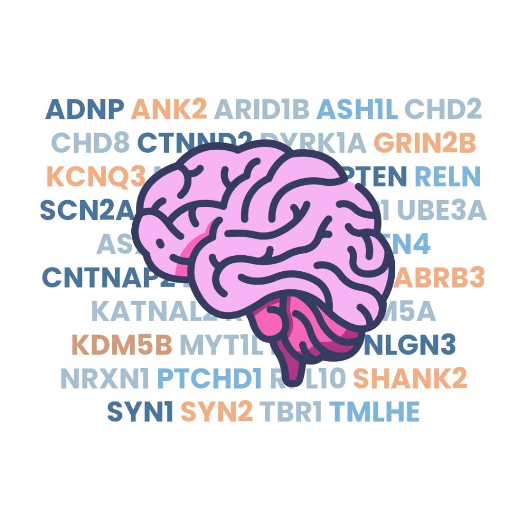 genes relacionados con el trastorno del espectro autista